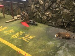 -太湖源风景区