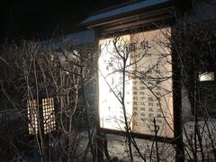 -陆地游轮吉林神农温泉