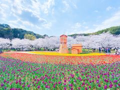 -苏州上方山国家森林公园