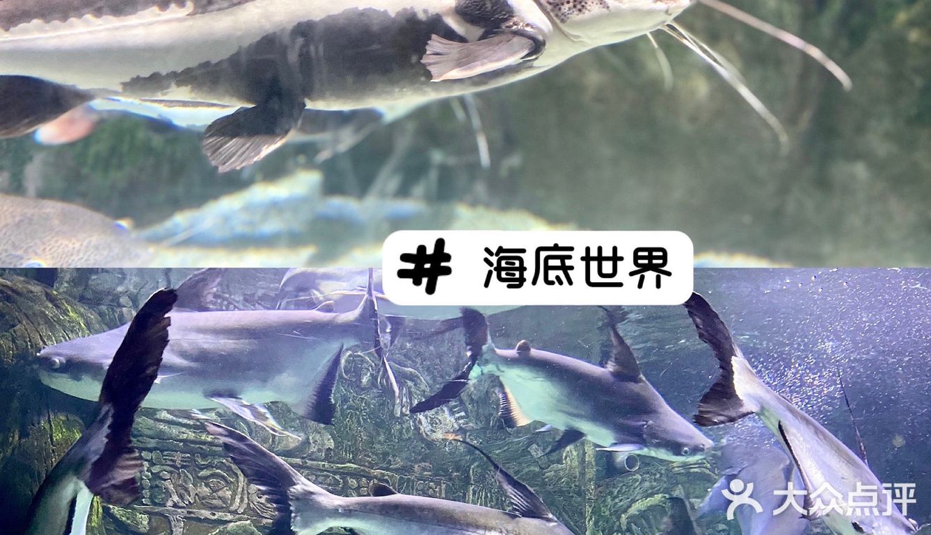 武汉溜娃好去处🔥孩子最爱‼️建议收藏㊙️