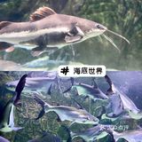 武汉溜娃好去处🔥孩子最爱‼️建议收藏㊙️