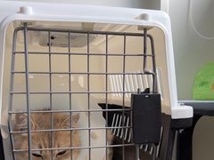 -美联众合动物医院·24h京西诊疗中心
