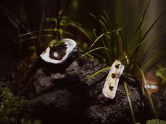 生蚝海参-曲廊院(东四十一条店)