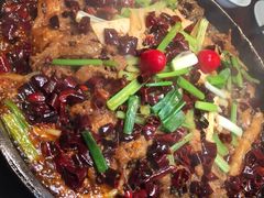 -老板恋上鱼(荣盛广场店)