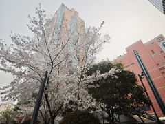 -美罗城