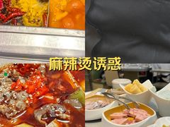 -海底捞火锅(高新活力汇店)