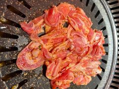 -杨记齐齐哈尔烤肉(总店)