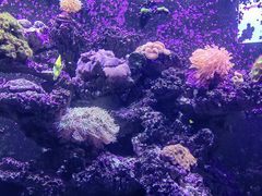 -海合安天津极地海洋公园