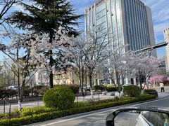 -青岛海尔洲际酒店