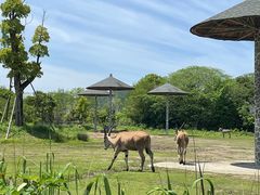-宁波野生动物园