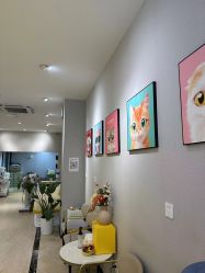 -洗脸猫·洗脸吧