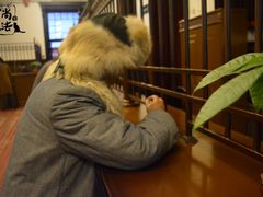 -沈阳金融博物馆