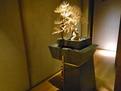 -浅深(北京北四环精品店)