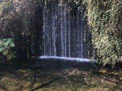 -千岛湖东南湖区
