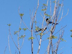 -长白岛森林公园
