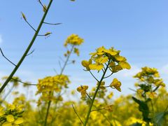 -桤木河湿地公园
