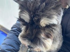 -宠颐生·恒爱宠物医院(静海店)