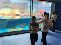 -海合安武汉极地海洋公园