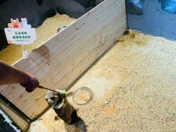 -酷嗒动物文化乐园(cutezoo西溪乐天城店)