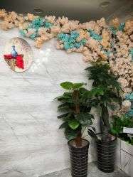 -Coco Salon 日系烫染专业店