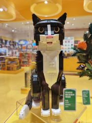 -乐高授权专卖店(南开大悦城店)