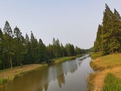 -黄海国家森林公园