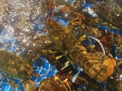 -东山民生市场(南崂路店)