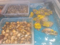 -丝路东方虾仁水饺(北京路二宫汇嘉店)
