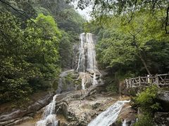 -大鄣山卧龙谷景区