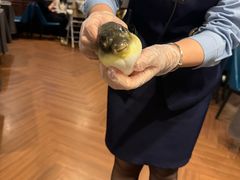 -肆月河豚·新淮扬(金融街店)