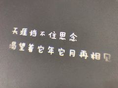 -成都失恋馆