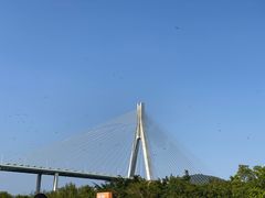 -芒洲湿地公园