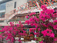 -Paulaner·德国帕拉娜自酿啤酒餐厅(海上世界店)