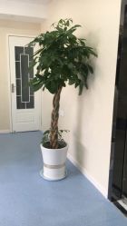 -痘庄专业袪痘皮肤管理连锁