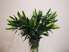 -三圣花乡旅游区