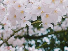 -杭州少年儿童公园