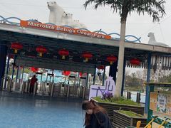 -芜湖新华联大白鲸海洋公园
