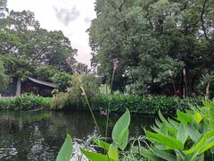 -国恩寺