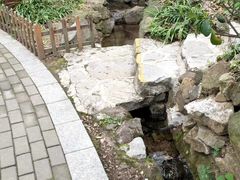 -句容茅山景区