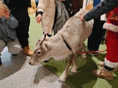 -中海环宇荟