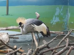 -济南野生动物世界