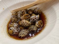 -侨美·唐荔园·40年地道粤菜