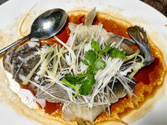 -东鸽皇(奥园·中环广场店)