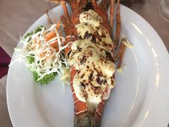 -Red Lobster