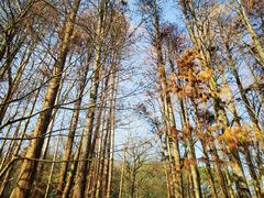 -杭州西湖风景名胜区-满觉陇四眼井