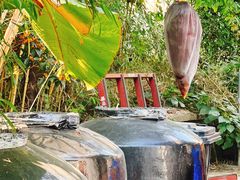 -Metal hands·铁手咖啡