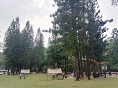 -人民公园(罗湖区)