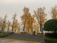 -两江幸福广场