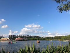 -上海长兴岛郊野公园