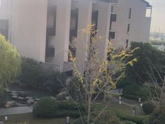 -上海崇明金茂凯悦酒店